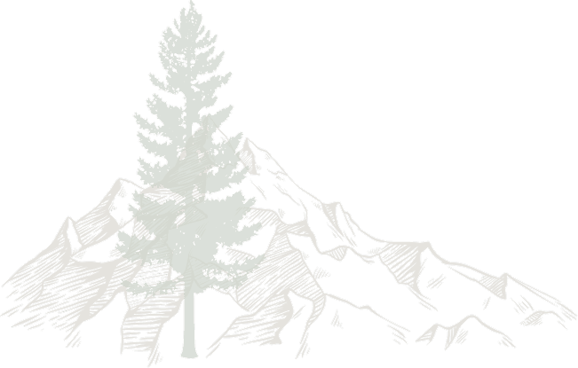 tree background